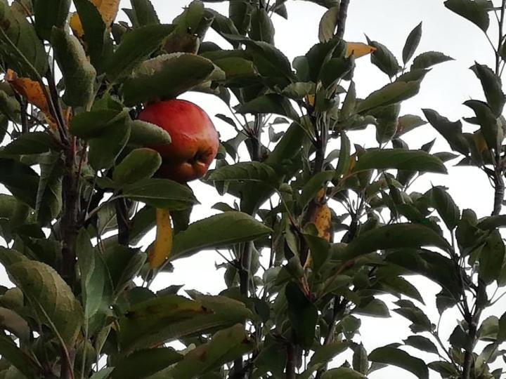 فندق Vale Do Rodo Residencial Peso da Régua المظهر الخارجي الصورة