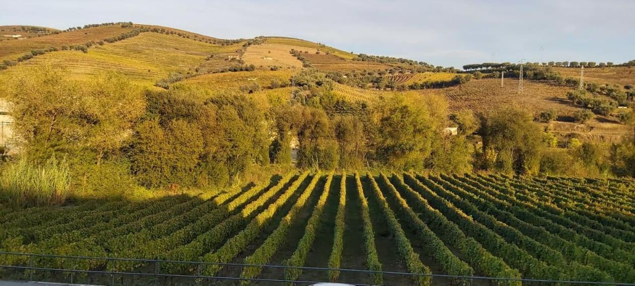 فندق Vale Do Rodo Residencial Peso da Régua المظهر الخارجي الصورة